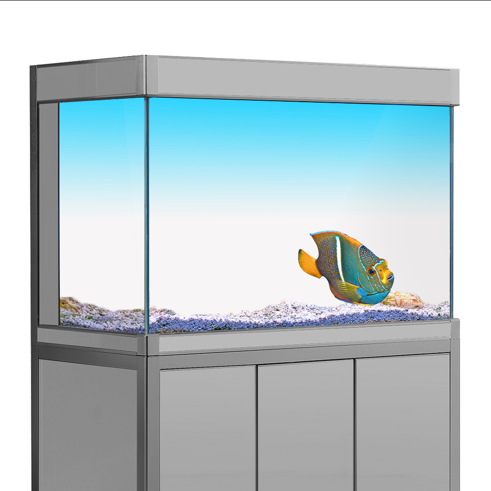Aquarium Fish Wallpaper - Fish Tank Background Sticker White Yellow