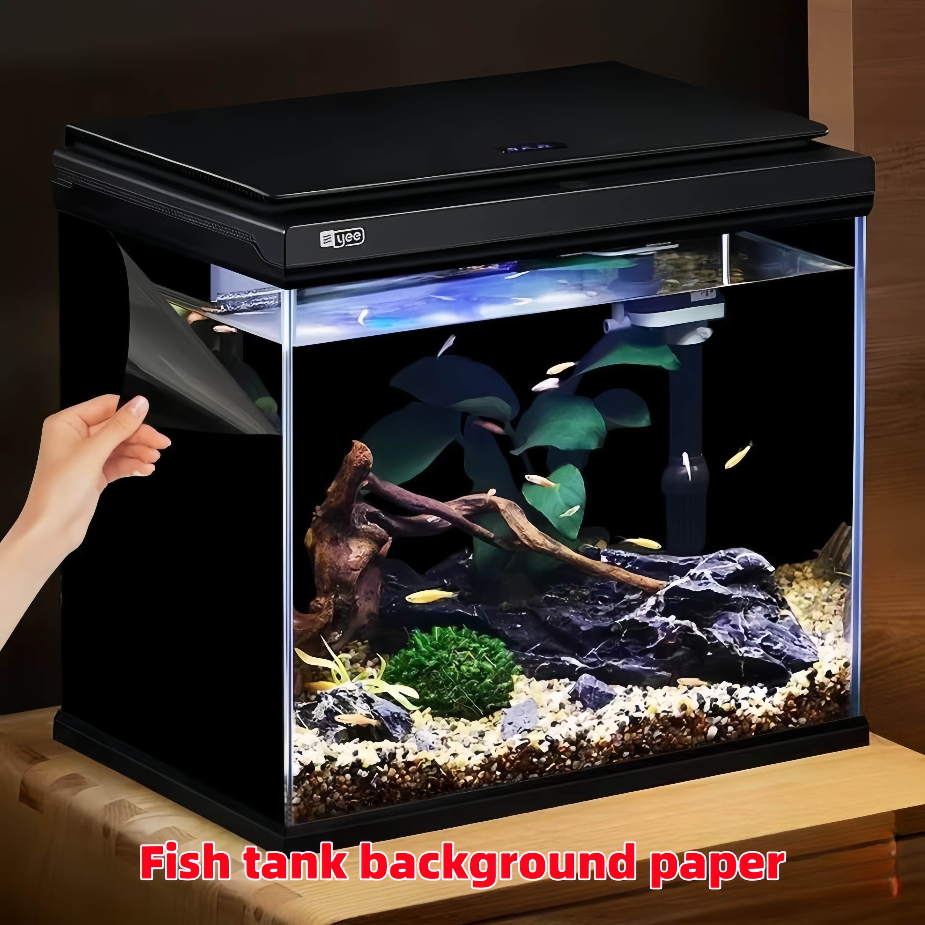 Aquarium Fish Wallpaper - Black Aquarium Background Wallpaper Aquarium Poster