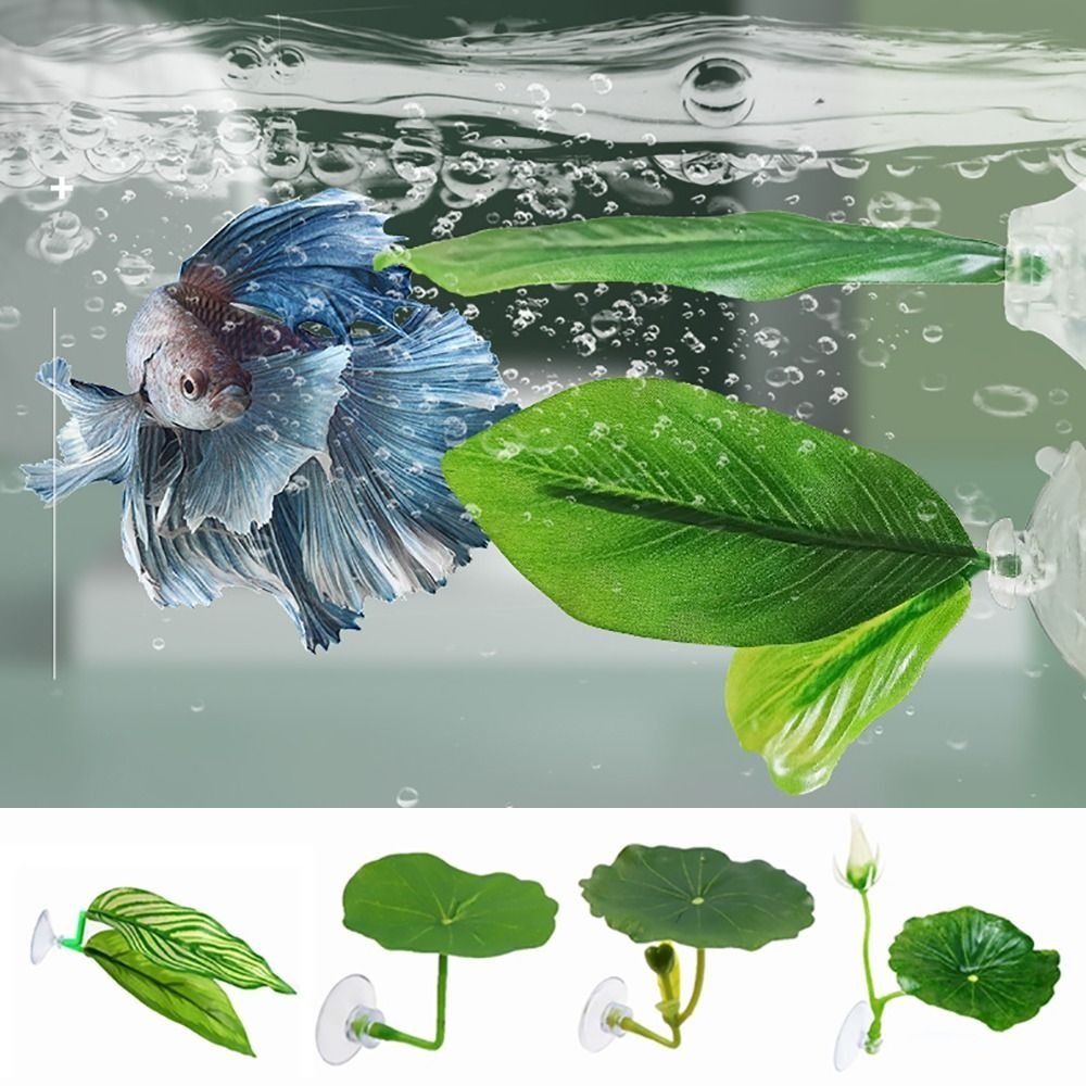 Plastic Betta Fish Rest Leaf S - Aquarium Fish Games のレビューと価格