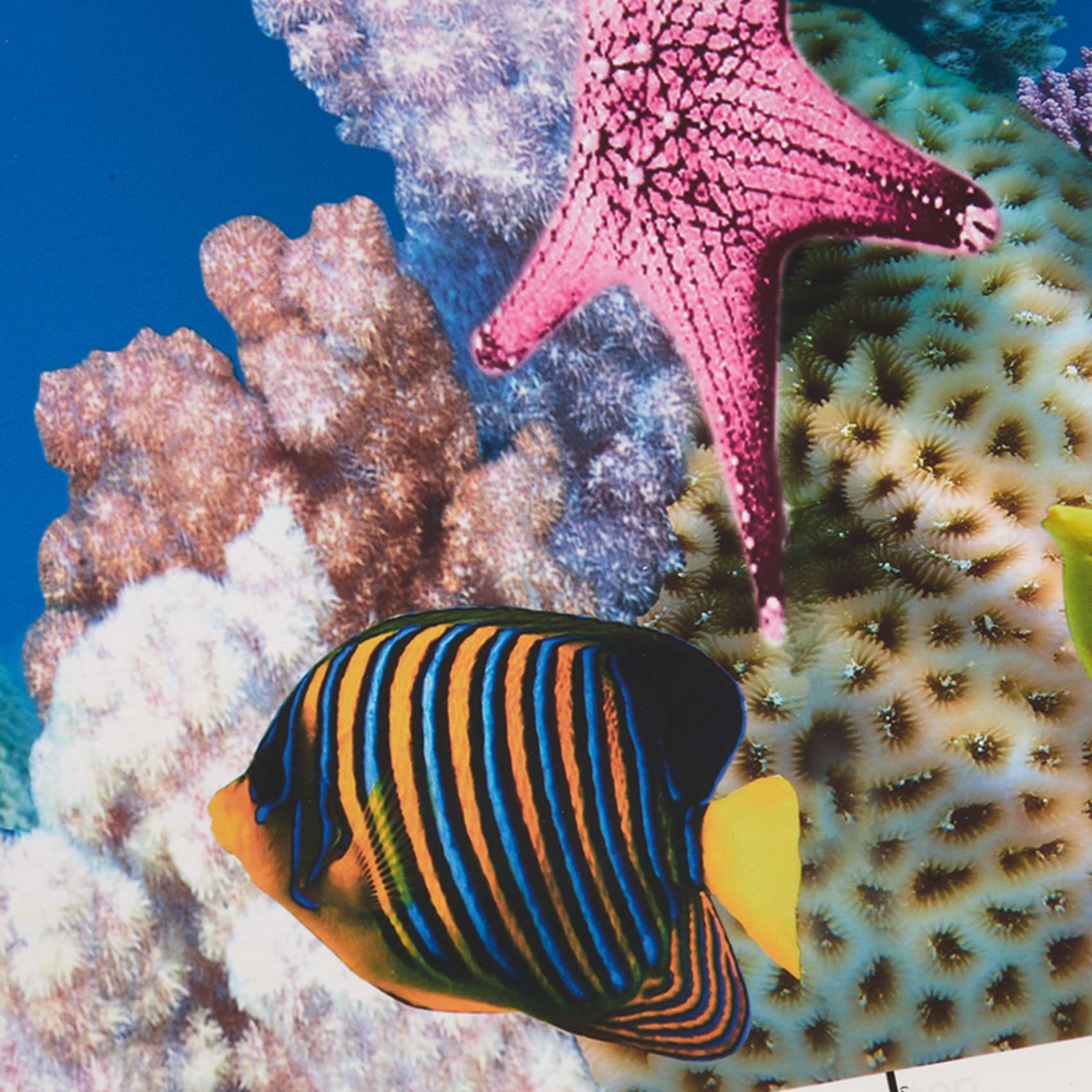 ABWR-Aquarium Background Paper - Aquarium Fish Wallpaper のレビューと価格