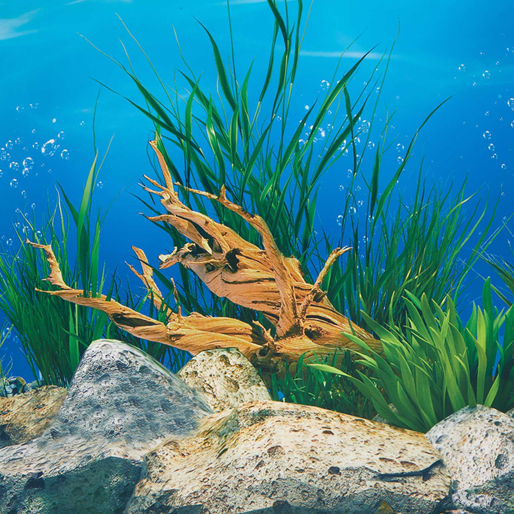 ABWR-Aquarium Background Paper - Aquarium Fish Wallpaper のレビューと価格