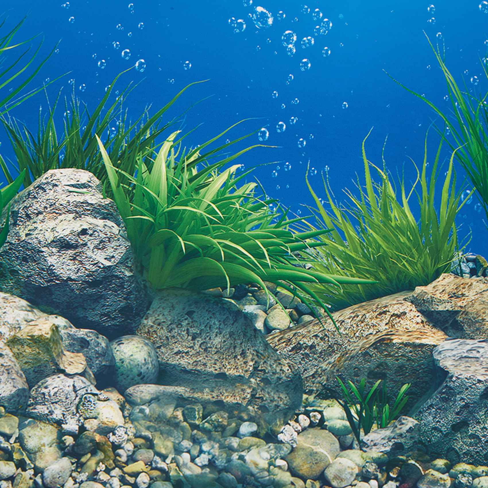 ABWR-Aquarium Background Paper - Aquarium Fish Wallpaper のレビューと価格