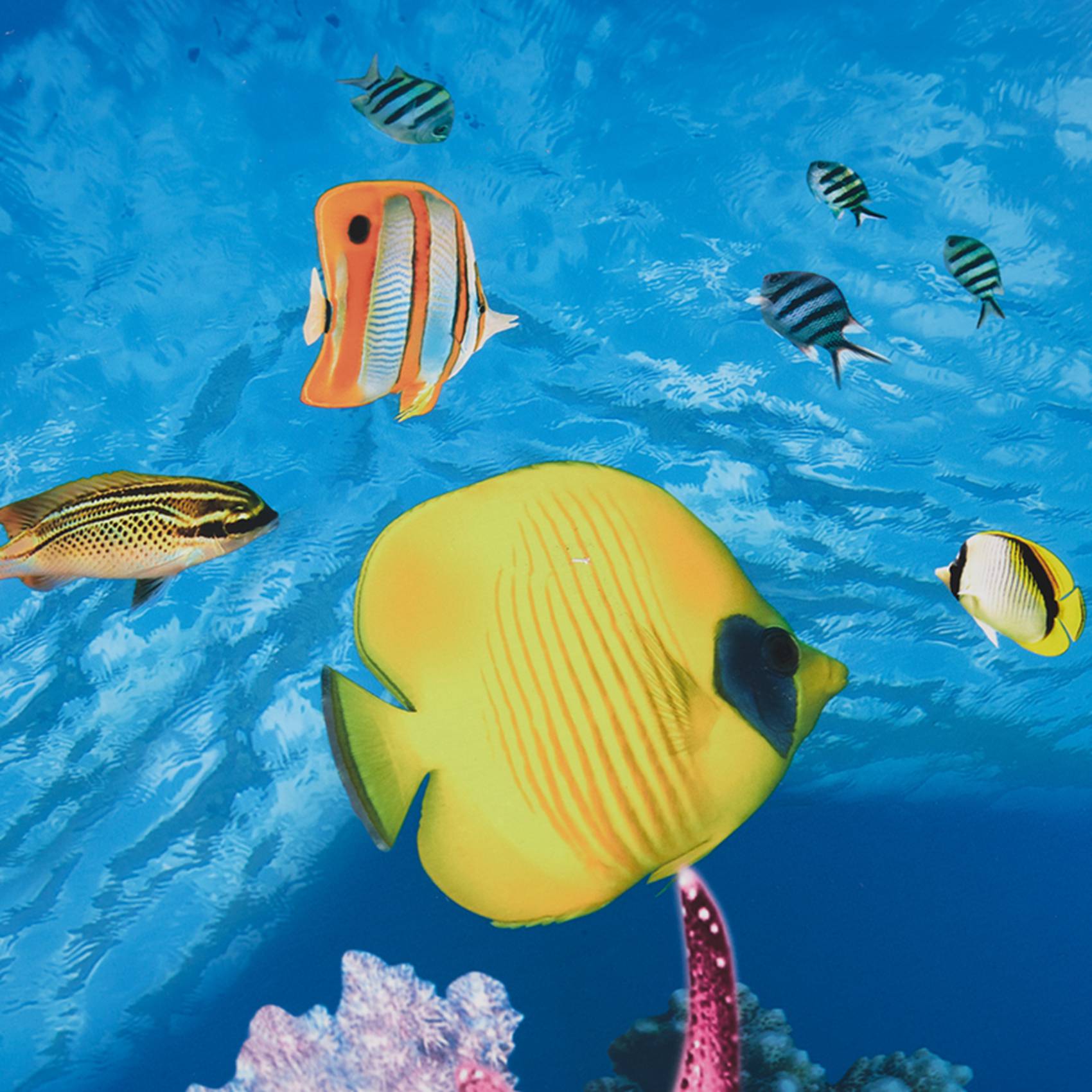 ABWR-Aquarium Background Paper - Aquarium Fish Wallpaper のレビューと価格