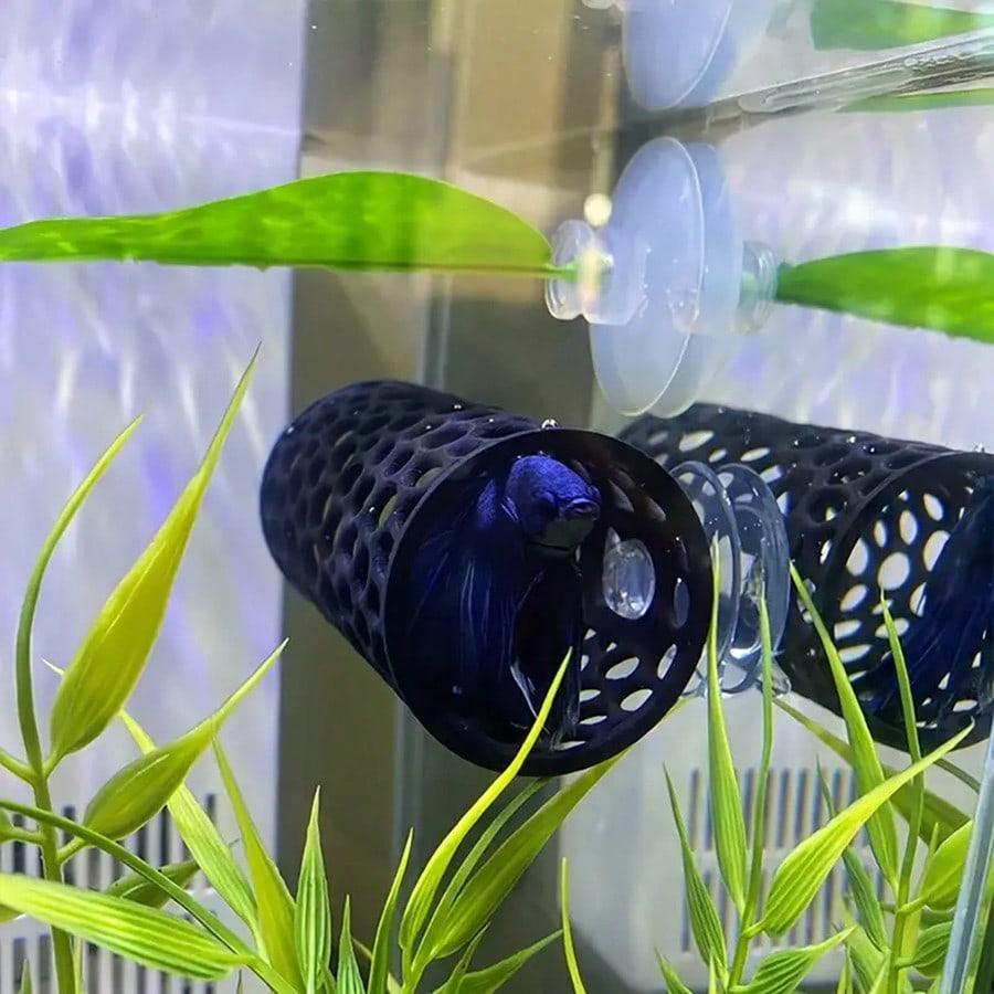 Aquarium Fish Hideout Black Ho - Aquarium Fish Games のレビューと価格