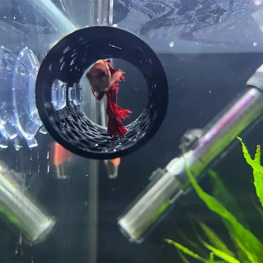 Aquarium Fish Hideout Black Ho - Aquarium Fish Games のレビューと価格