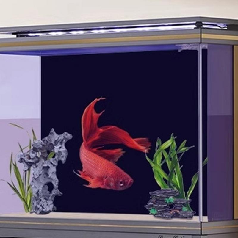 Black Aquarium Background Wall - Aquarium Fish Wallpaper のレビューと価格
