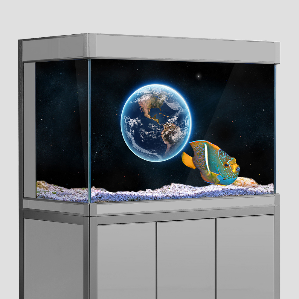 Aquarium Fish Tank  Background - Aquarium Fish Wallpaper のレビューと価格