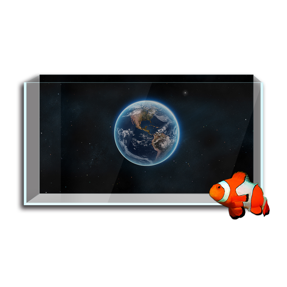 Aquarium Fish Tank  Background - Aquarium Fish Wallpaper のレビューと価格