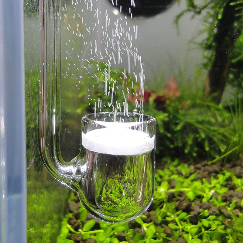 D0AD Glass CO2 Diffuser for Aq - Co2 Diffuser Planted のレビューと価格