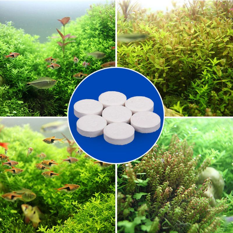 Aquarium Co2 Tablet Carbon Dio - Co2 Diffuser Planted のレビューと価格
