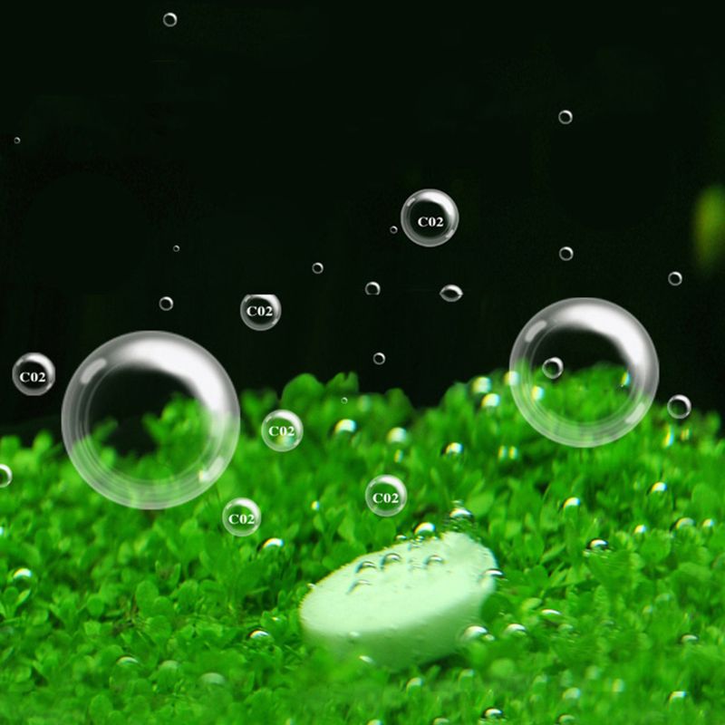 Aquarium Co2 Tablet Carbon Dio - Co2 Diffuser Planted のレビューと価格