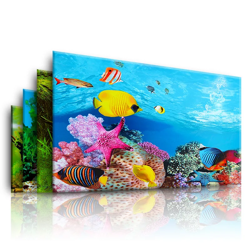 Background for Aquarium 3d  St - Aquarium Fish Wallpaper のレビューと価格
