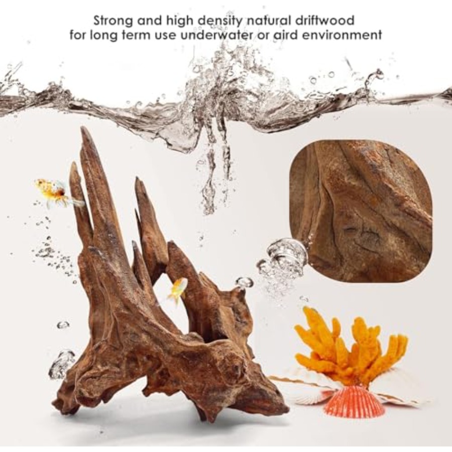 Natural Aquarium for Fish Tank - Aquarium Fish Unique のレビューと価格