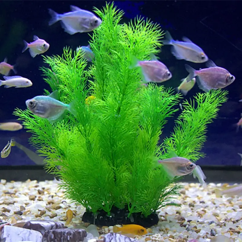 Artificial Aquarium Decor Plan - Aquarium Fish Games のレビューと価格