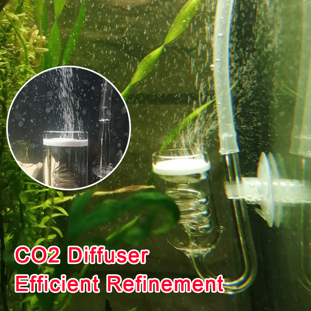 Glass Tank Bubble Reactor Aqua - Co2 Diffuser Planted のレビューと価格