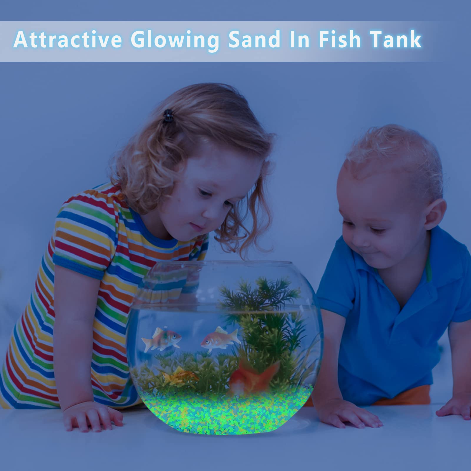 1000Pcs Luminous Sand Glow In  - Aquarium Fish Breeding のレビューと価格