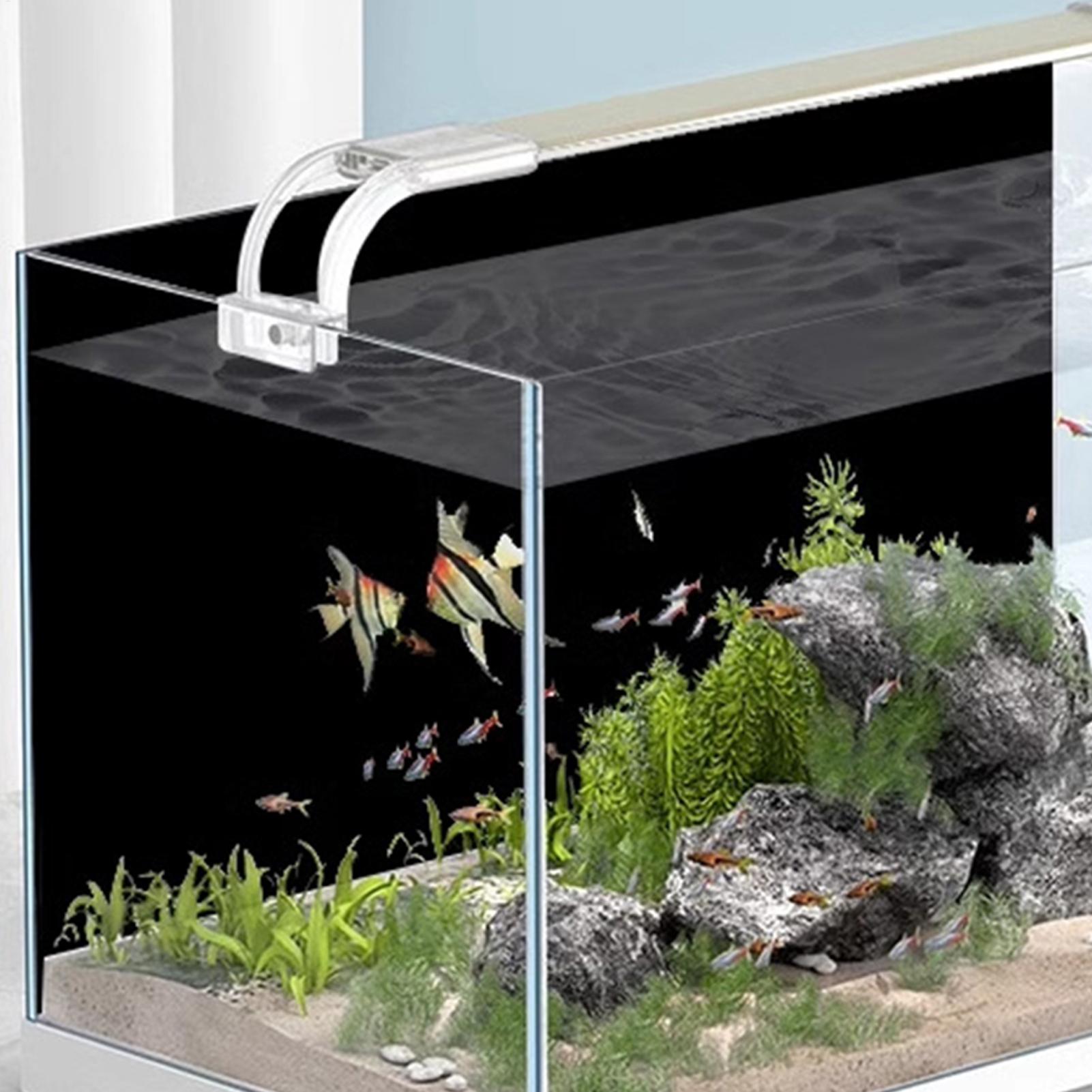 Fish Tank Background Static Cl - Aquarium Fish Wallpaper のレビューと価格