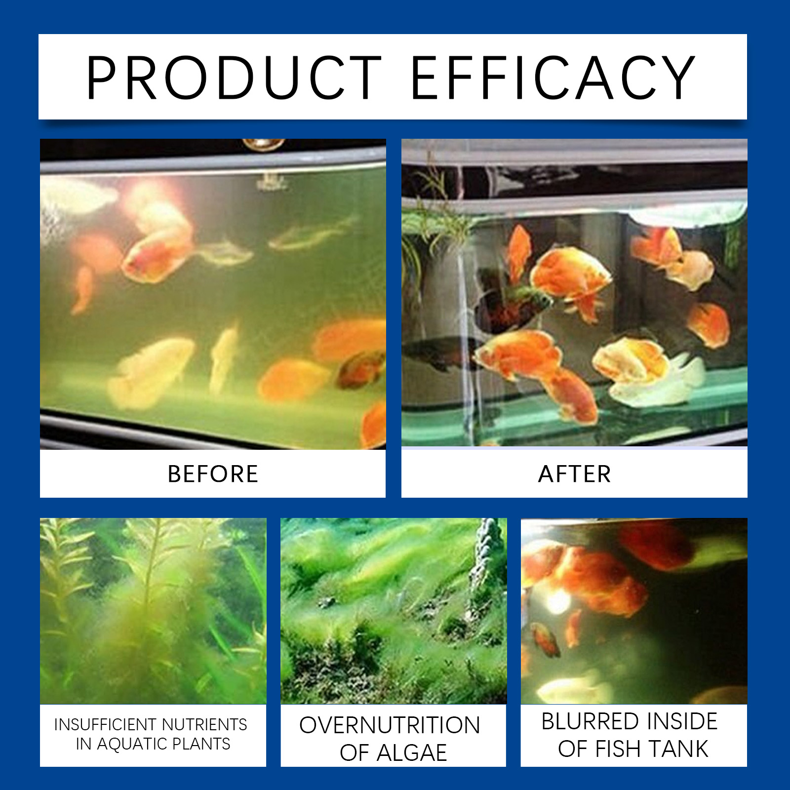 Aquarium Water Clarifier 100ml - Aquarium Fish Breeding のレビューと価格