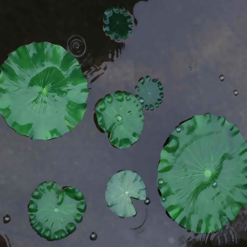 2026 Artificial Water Lily Lot - Aquarium Fish Breeding のレビューと価格
