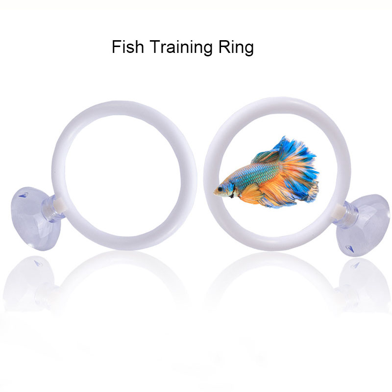 1pcs Plastic Fish Tank Aquariu - Aquarium Fish Games のレビューと価格