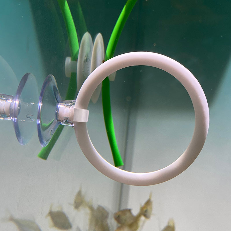 1pcs Plastic Fish Tank Aquariu - Aquarium Fish Games のレビューと価格