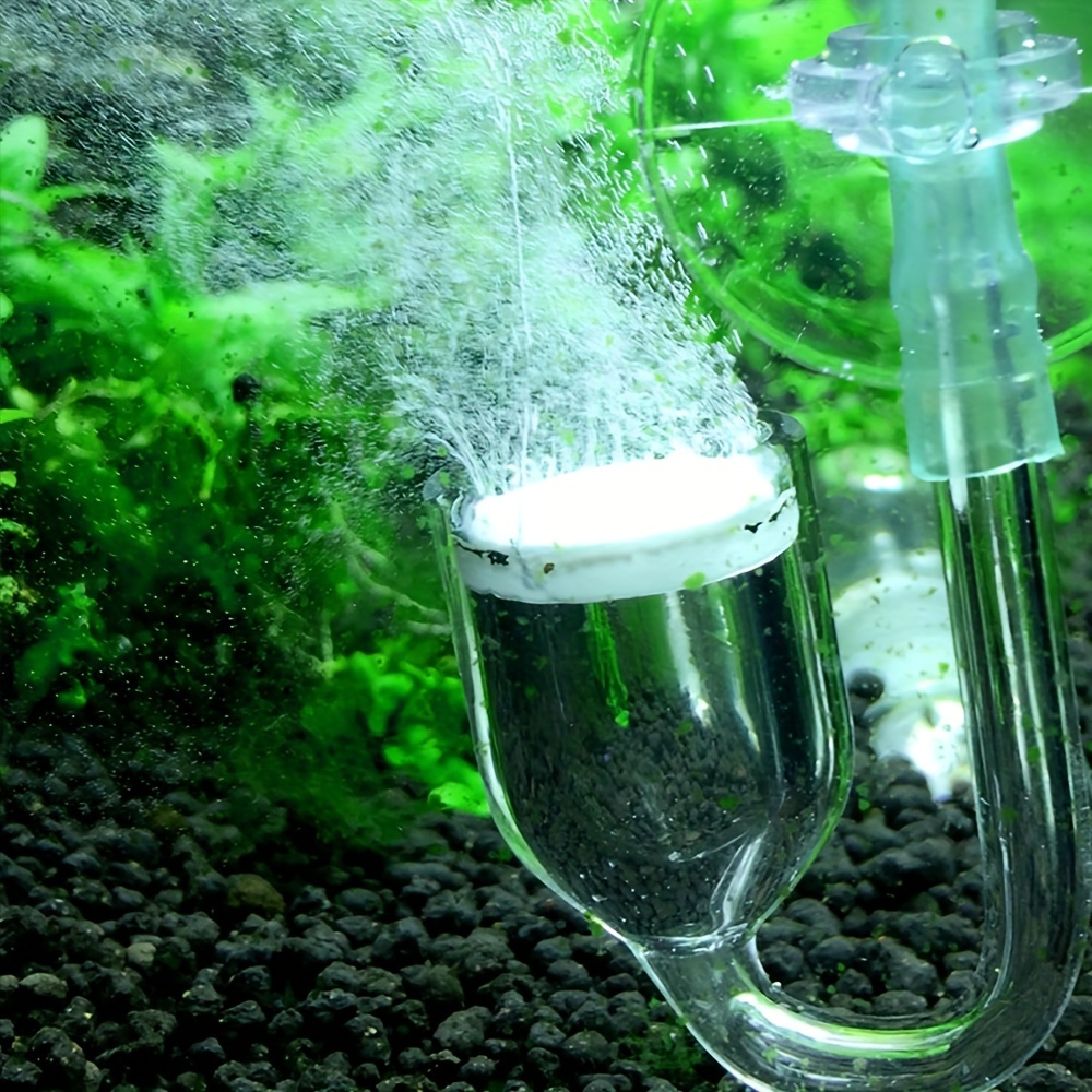 Aquarium Glass CO2 Atomizer Di - Co2 Diffuser Planted のレビューと価格
