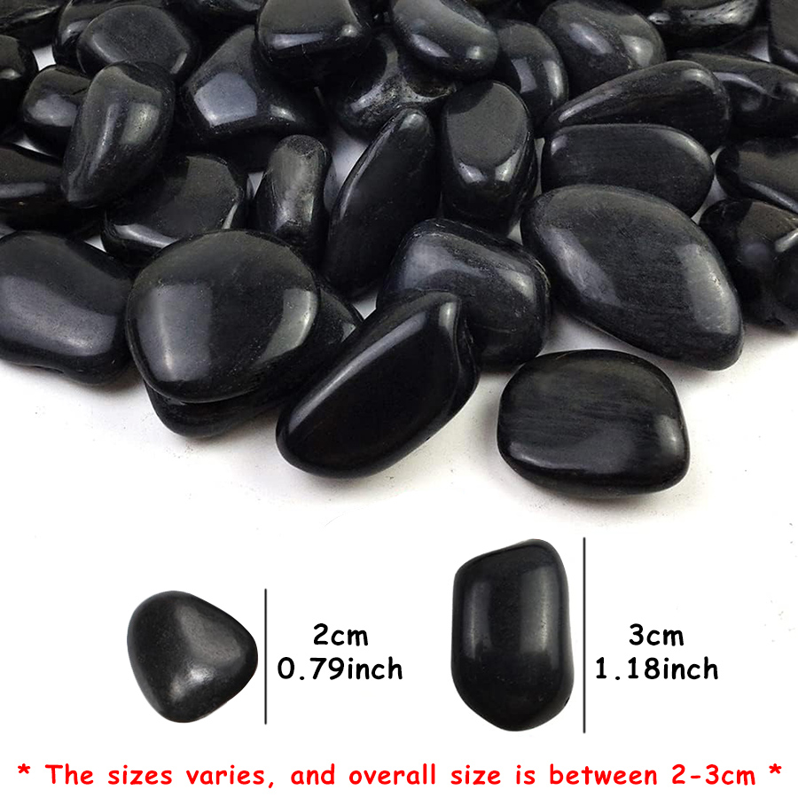 200g Black High Polished Natur - Aquarium Fish Breeding のレビューと価格