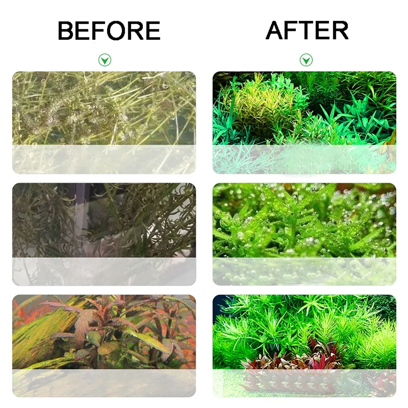 Aquarium CO2 Generator 2L DIY  - Co2 Diffuser Planted のレビューと価格