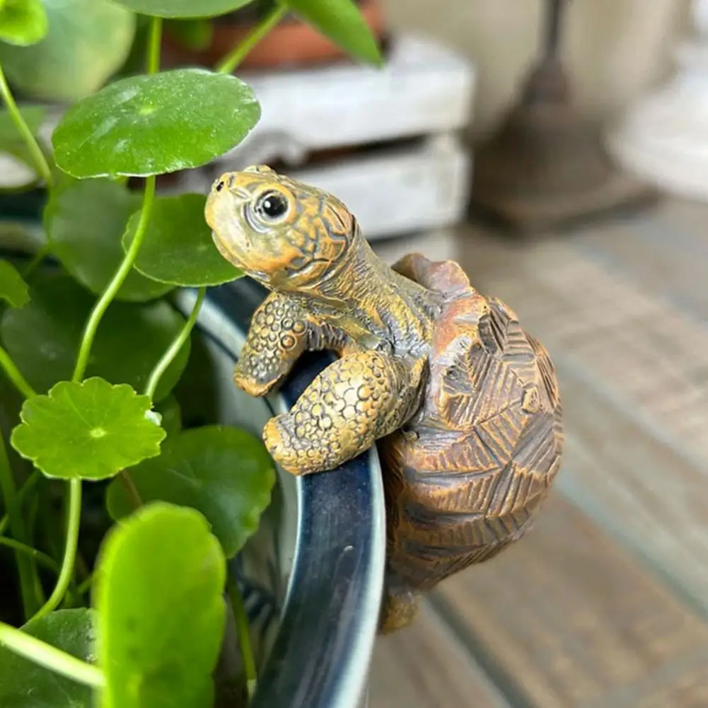 Fishing Turtle Hanging Turtle  - Aquarium Fish Breeding のレビューと価格