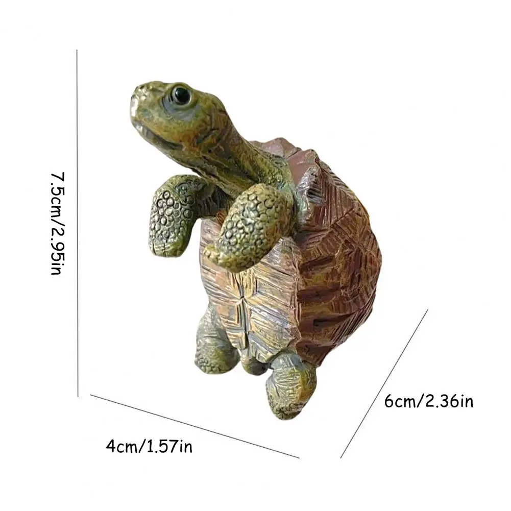 Fishing Turtle Hanging Turtle  - Aquarium Fish Breeding のレビューと価格
