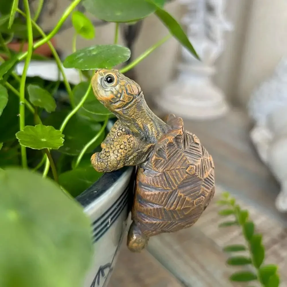 Fishing Turtle Hanging Turtle  - Aquarium Fish Breeding のレビューと価格