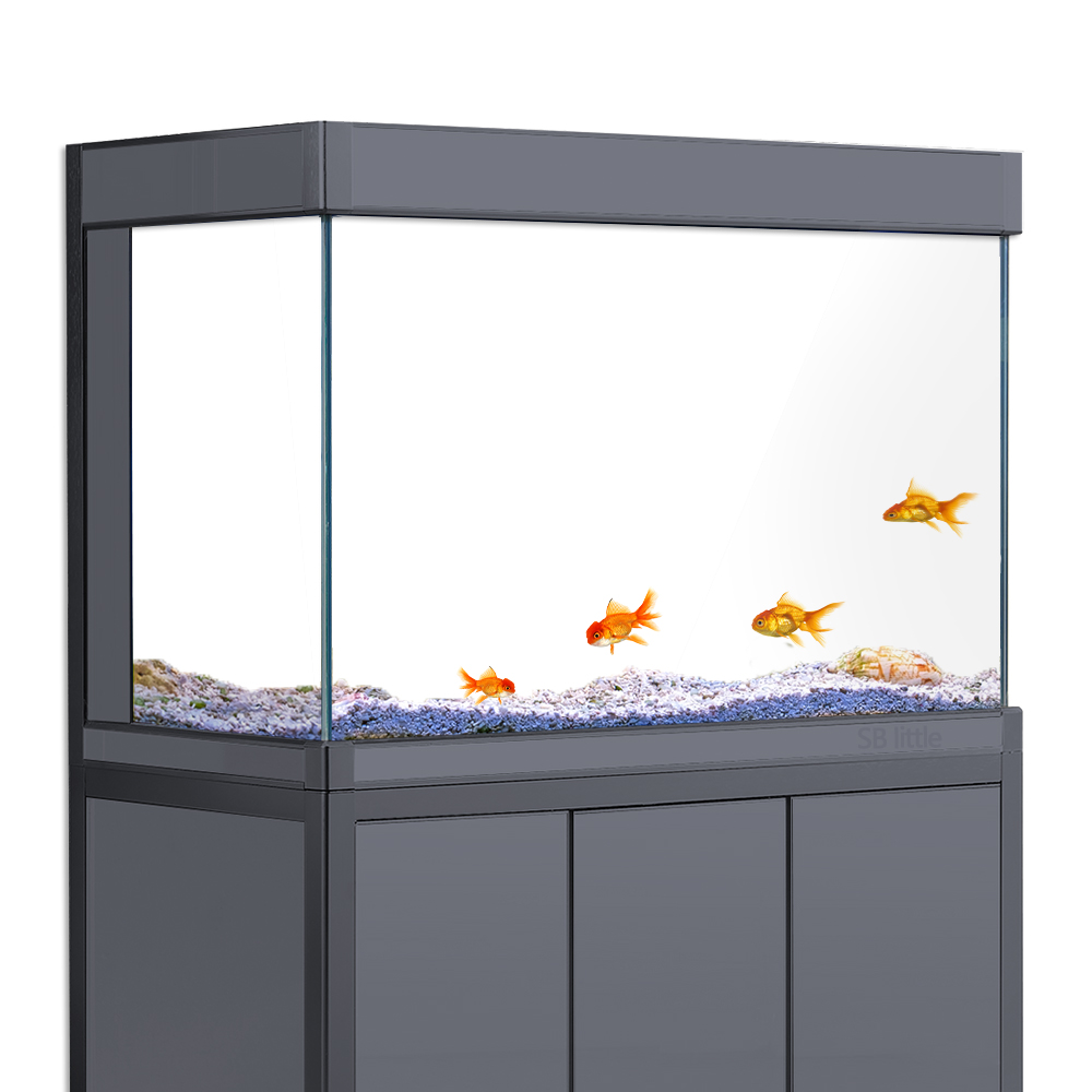 Aquarium Background Static Cli - Aquarium Fish Wallpaper のレビューと価格