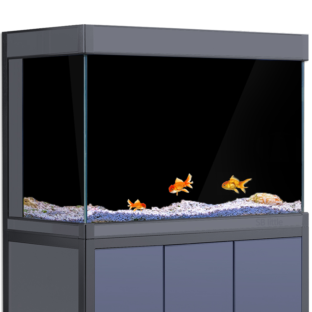 Aquarium Background Static Cli - Aquarium Fish Wallpaper のレビューと価格