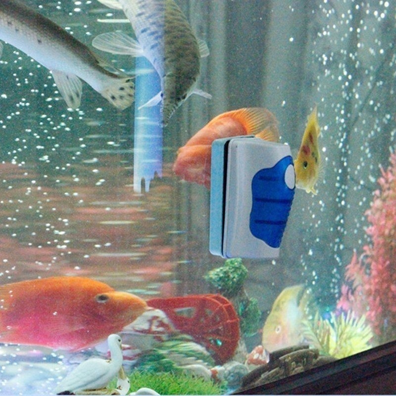 Fish Tank Glass Scraper Cleane - Gravel Vacuum Cleaner のレビューと価格