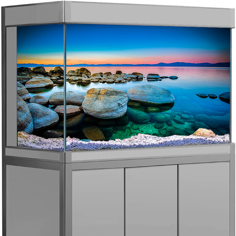 Aquarium Background Sticker St - Aquarium Fish Wallpaper のレビューと価格
