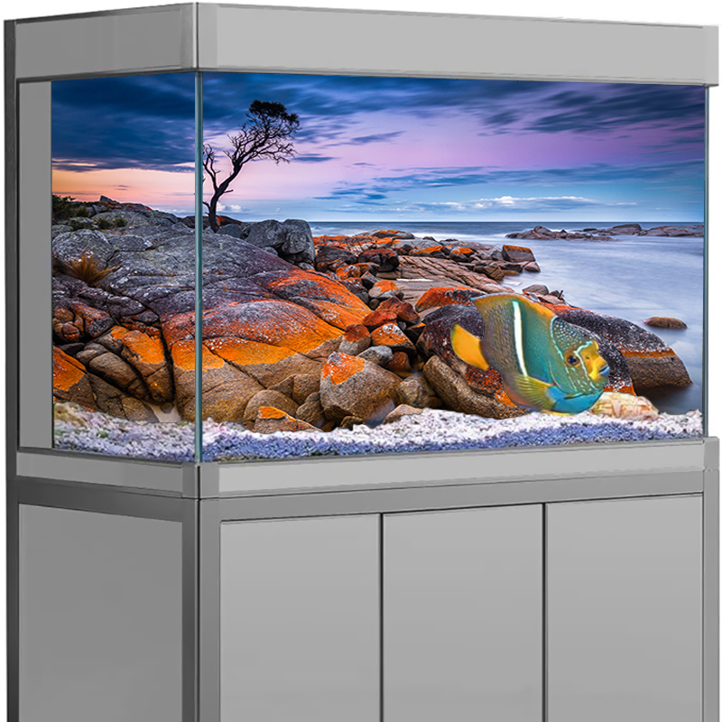 Aquarium Background Sticker St - Aquarium Fish Wallpaper のレビューと価格
