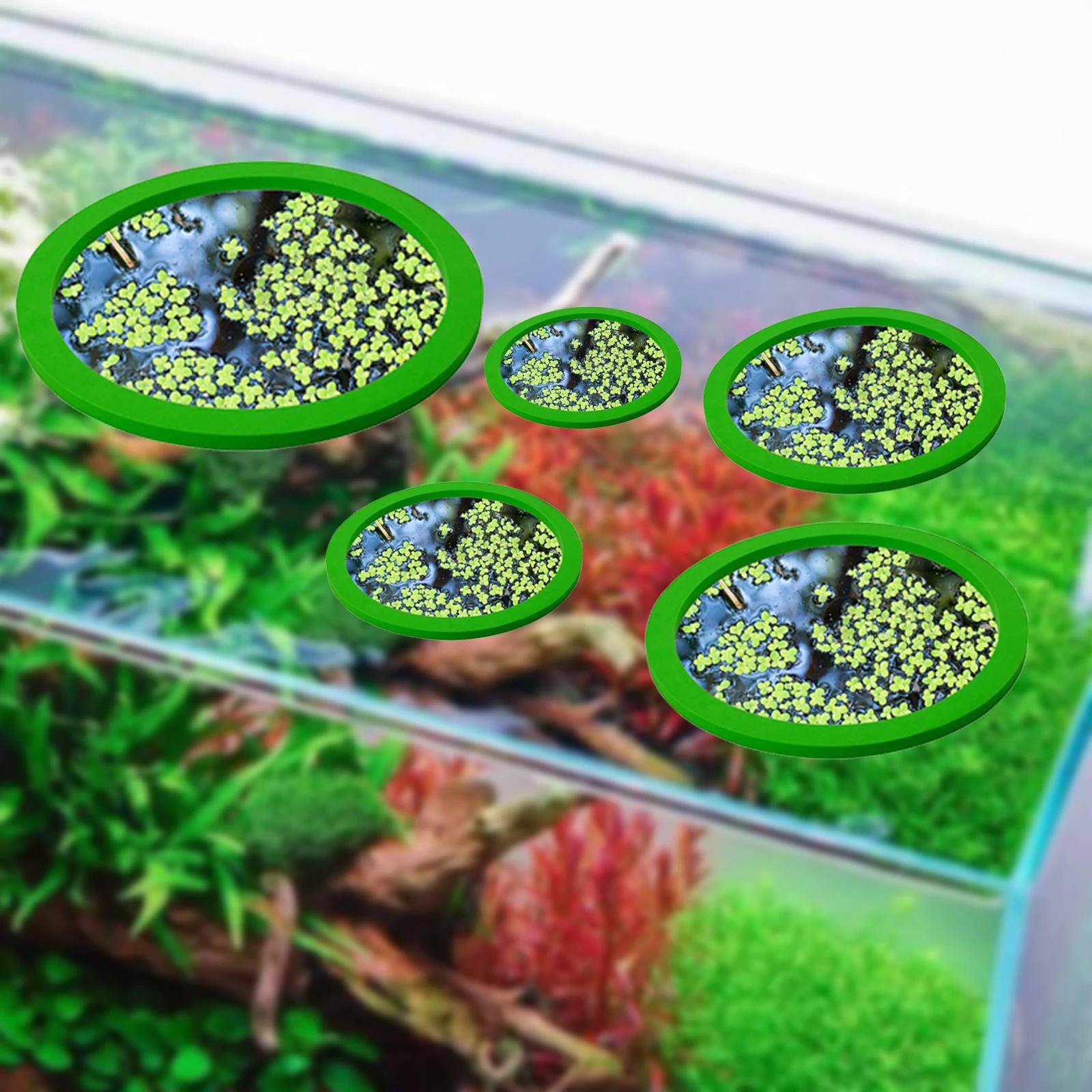 5Pcs EVA Fish Feeding Ring Aqu - Aquarium Fish Breeding のレビューと価格