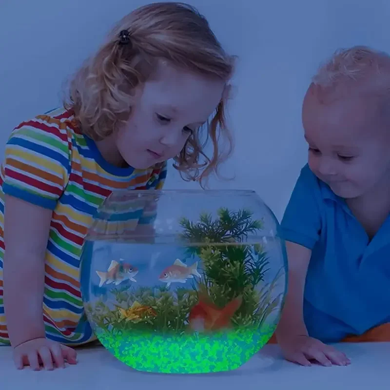 1000pcs 3-5mm Luminous Sand Gl - Aquarium Fish Breeding のレビューと価格
