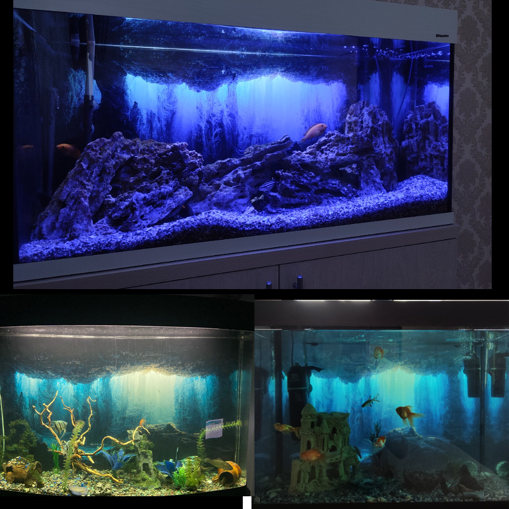 Aquarium Background Sticker,   - Aquarium Fish Wallpaper のレビューと価格