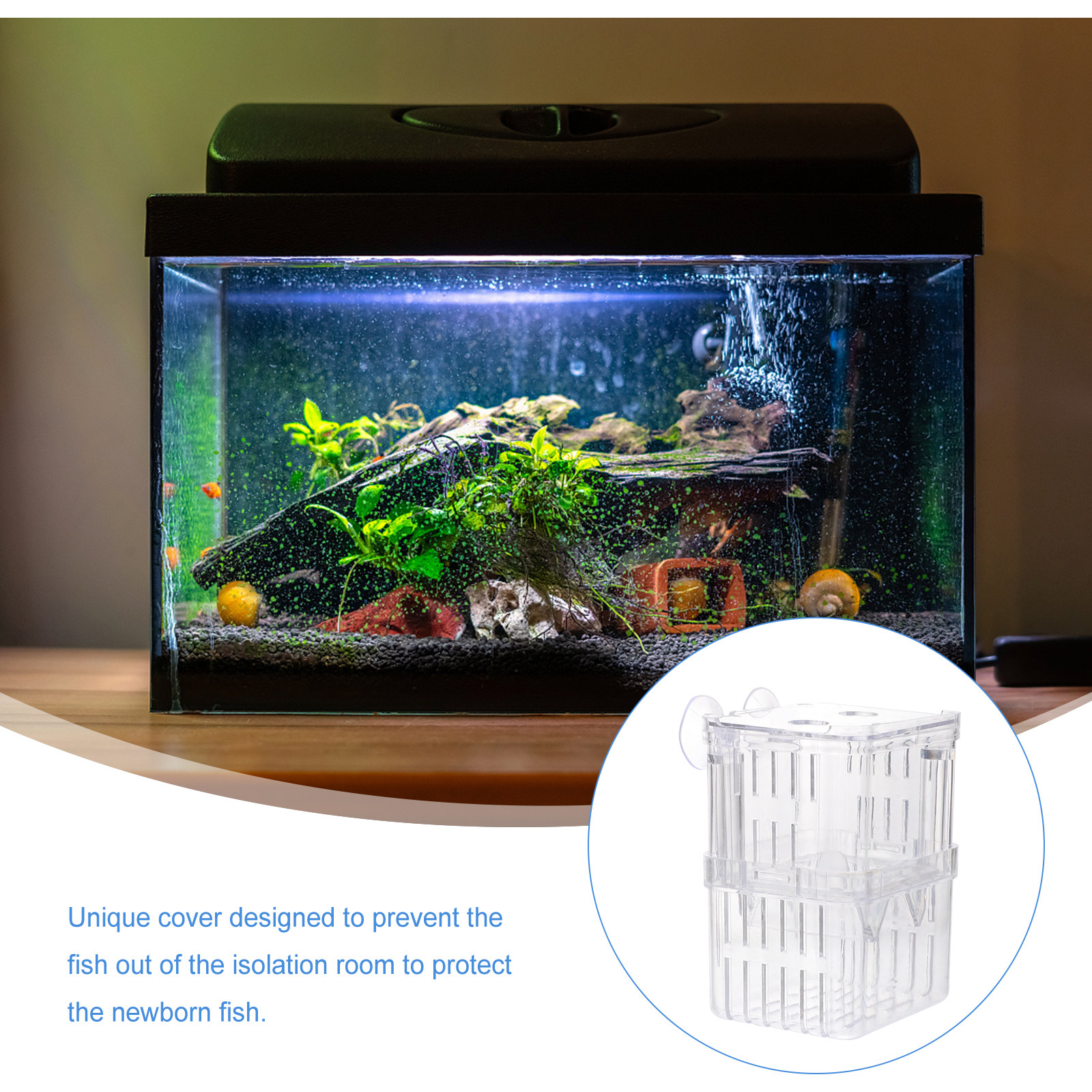 3Pcs Fish Breeding Box with Un - Aquarium Fish Unique のレビューと価格
