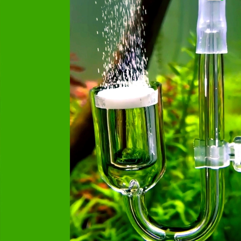Nano CO2 Diffuser Glass Atomiz - Co2 Diffuser Planted のレビューと価格