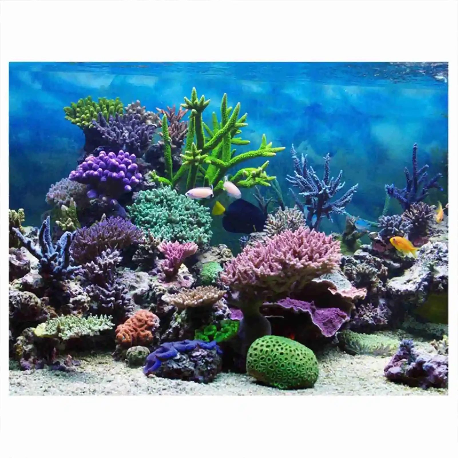 3D Aquarium Landscape Poster R - Aquarium Fish Wallpaper のレビューと価格