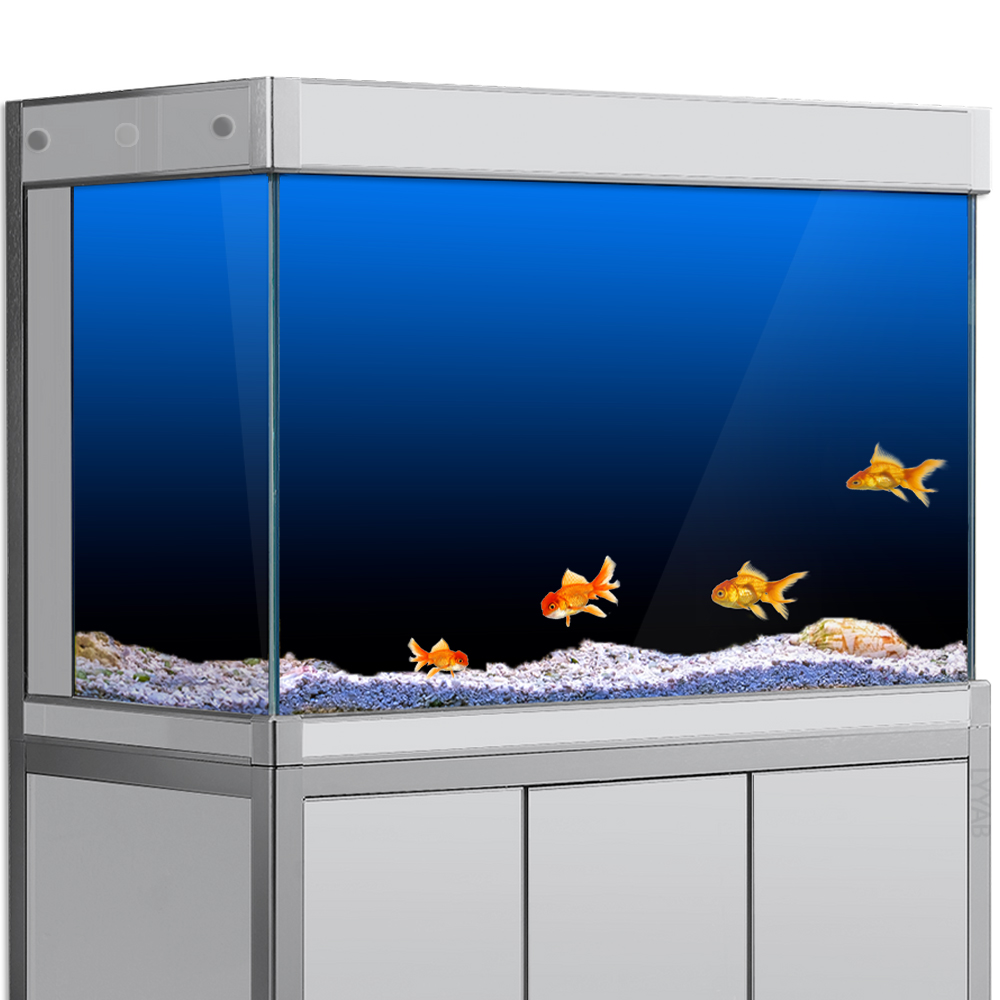 Fish Tank Background Sticker B - Aquarium Fish Wallpaper のレビューと価格