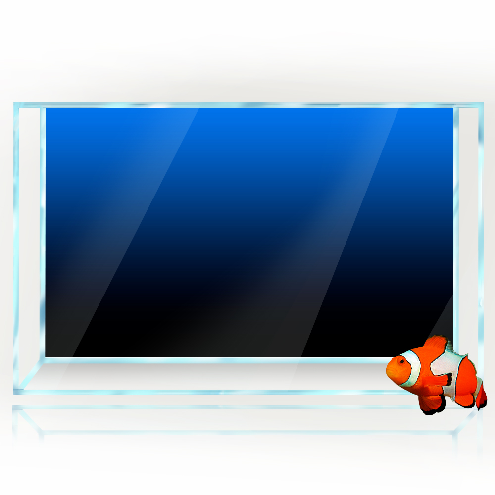 Fish Tank Background Sticker B - Aquarium Fish Wallpaper のレビューと価格