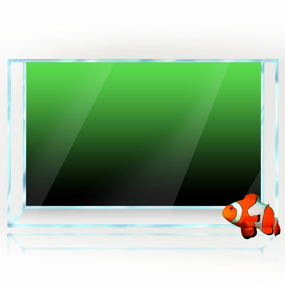 Fish Tank Background Sticker B - Aquarium Fish Wallpaper のレビューと価格