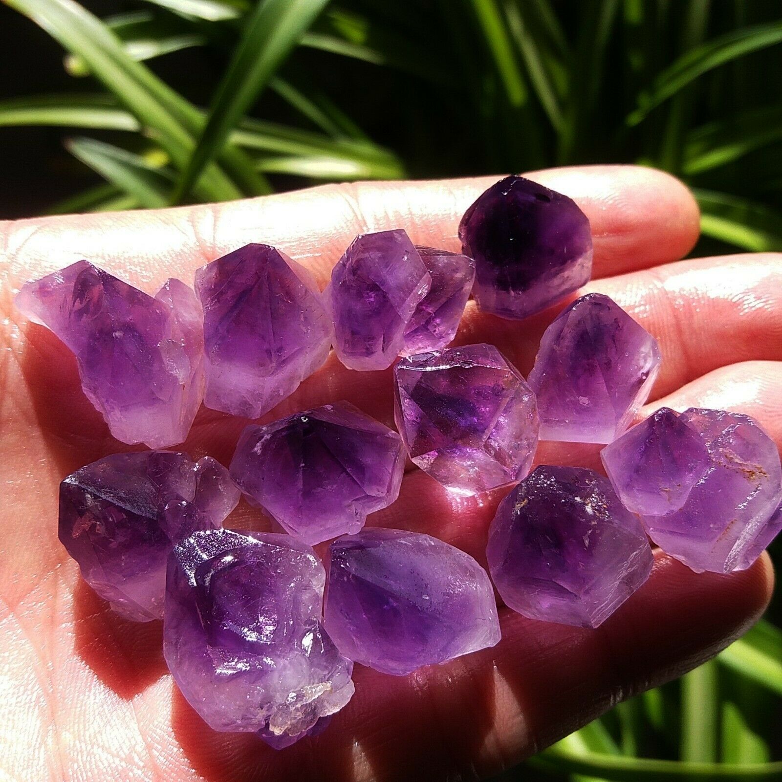 Natural Unique Lavender Amethy - Aquarium Fish Unique のレビューと価格