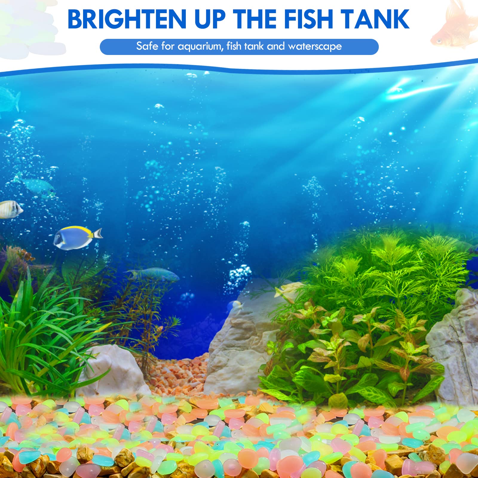 100Pcs Glow in the Dark Garden - Aquarium Fish Breeding のレビューと価格