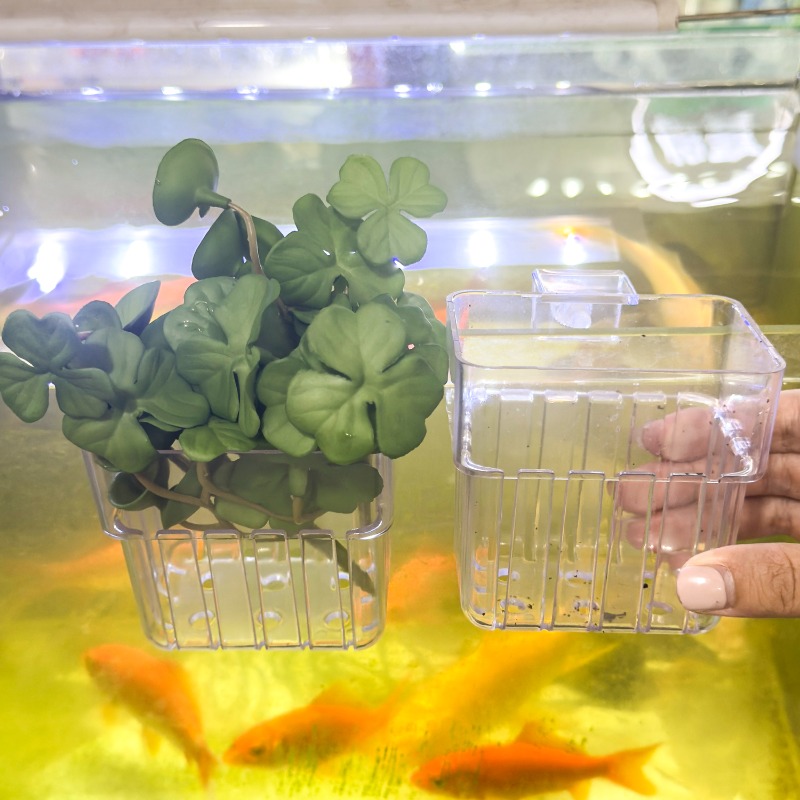 1/5pcs Aquarium Decoration Pla - Aquarium Fish Breeding のレビューと価格