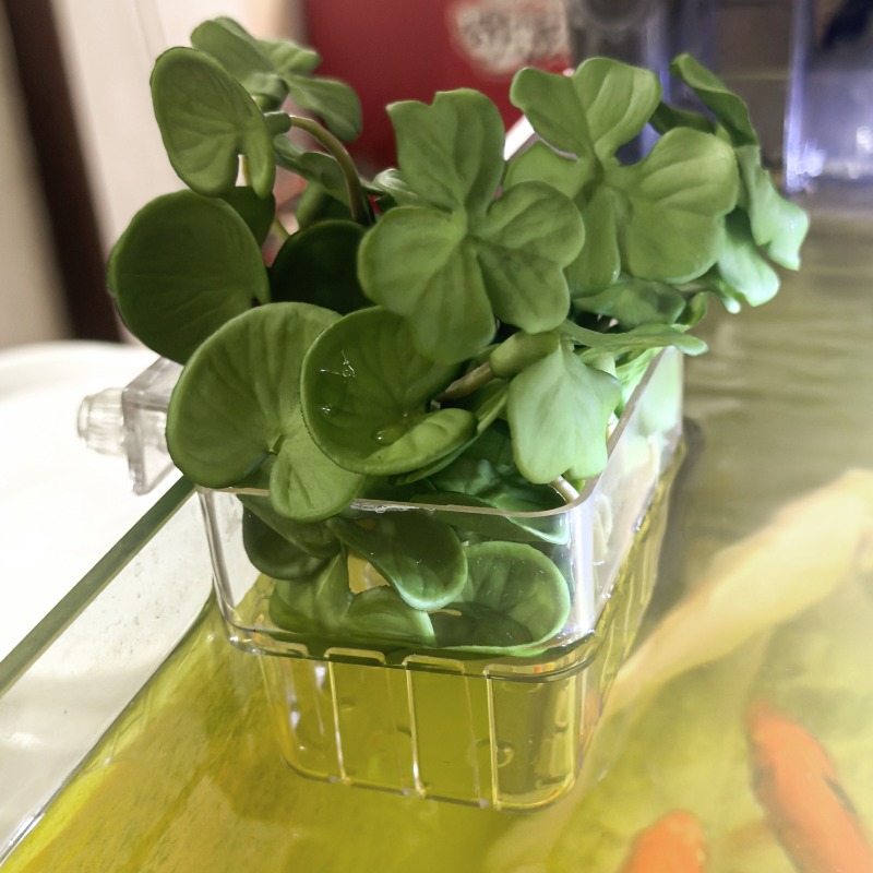 1/5pcs Aquarium Decoration Pla - Aquarium Fish Breeding のレビューと価格