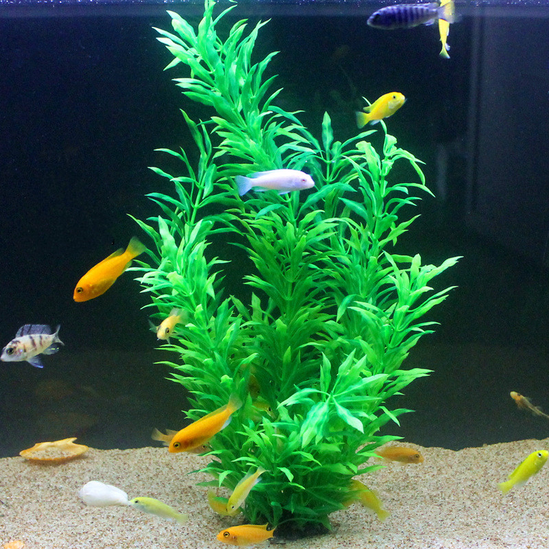 50CM Artificial Fish Tank Rare - Aquarium Fish Breeding のレビューと価格